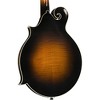 Kentucky KM-1050 Master F-Style Mandolin Vintage Sunburst - 4 of 4
