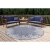 Liora Manne Carmel  Indoor/Outdoor Rug  Navy.. - 3 of 4