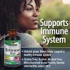 Nature's Answer Echinacea Liquid Extract 1000mg, 1 Oz - 4 of 4