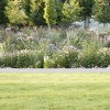 Gulches Garden Edging: Decorative Metal Fence Panels & Heavy-Duty Landscape Strips - 4 of 4