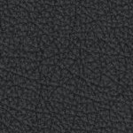 michigan state spartans