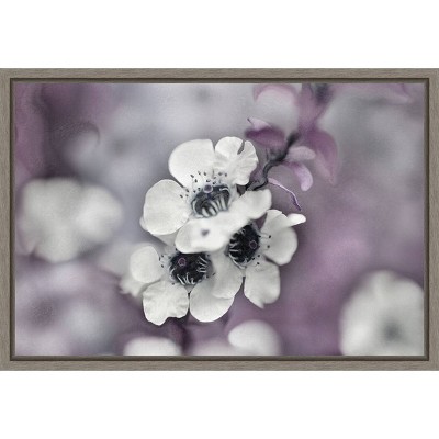 Amanti Art 23"x16" Tales from an Enchanted Flower Glen IV by Gillian Hunt Framed Canvas Wall Art Print