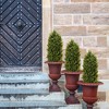 Gulches 2 pcs Natural Appearing Artificial Palm Trees Plants with Tropical Foliage: Perfect for Bedroom, Garden, Office and Living Room - 3 of 4