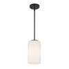 Designers Fountain Leavenworth 1 - Light Semi-Flush Mount in  Matte Black - 3 of 3