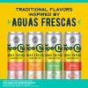 Topo Chico Aguas Frescas Hard Seltzer VP - 12pk/12 fl oz Cans - 4 of 4