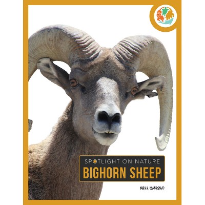 Bighorn Sheep - by  Nell Musolf (Paperback)