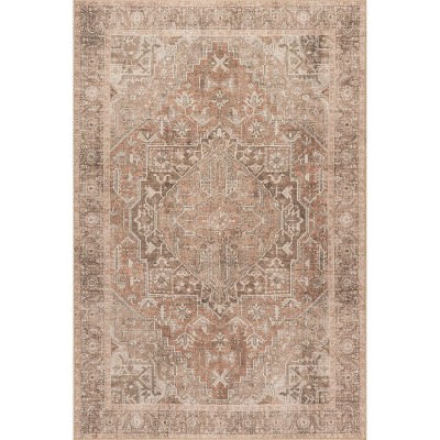 Nuloom Hillstone Collection Mariposa Traditional Vintage Medallion Area Rug