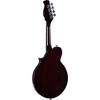 Kentucky KM-300E 4-String Electric Mandolin Traditional Sunburst - 2 of 4