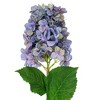 Vickerman 34" Artificial Cone Hydrangea Spray, 2 per bag - 2 of 4