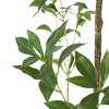 TopComfy Artificial Trees 240cm Artificial Pieris Tree Extra Tall Pieris Tree Faux Pieris Plant Large Artificial Tree for Home, Green, 47"*47"*94.5" - 3 of 4