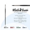 Black Swan Synthetic Red Sable Round Paint Brushes Sets of 2 -  Professional Quality Long Handle Paint Brushes for Oil, Heavy Body Media and Acrylic - - 2 of 4