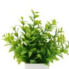 Unique Bargains Artificial Plants "Dragon Across River" Vine Plant Plastic Green 2.76"x2.76"x7.09" 1 Pc - 4 of 4