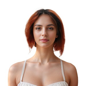 Unique Bargains Women's Straight Short Hair Wig 13x4x1in 150 Real Human Hair 6in 1 Pc - 1 of 4