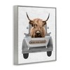 Stupell Industries Wash Your Horns Cattle Framed Giclee Art, Gray, 16" x 20" - 2 of 4