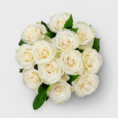 Mother's Day Roses White - Good Little Garden™