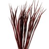 Vickerman 28"-36" Splinter Grass Bundle, 22oz Dried - 2 of 4
