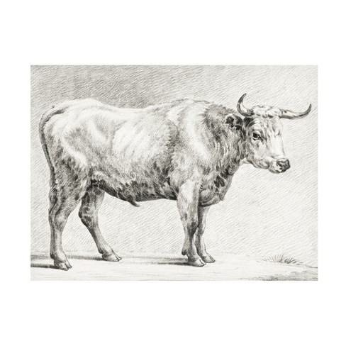 Trademark Fine Art - Jean Bernard Bernard's Bull Renderings Iv Canvas ...