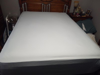 Smart Cool Microfiber King Sheet Set In Ivory by Olliix