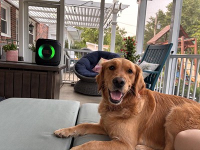 Guest review image 1 of 6, zoom in