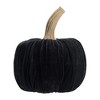 Whisen Velvet Large Pumpkin, Holiday Halloween Decoration, Set of 2 - Black - 3 of 4