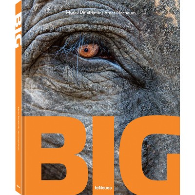 Big - (Hardcover)