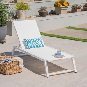 PAGED Patio Lounge Chair Tiltable Recliner with Metal Frame and Mesh Modern Chaise Lounge for Garden, Poolside - 1 of 4