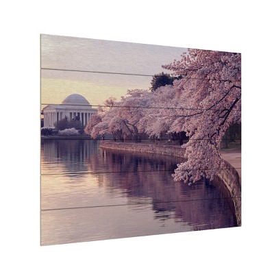 Trademark Fine Art-Gregory O'Hanlon 'Cherry Blossoms Jefferson Memorial' Canvas Art