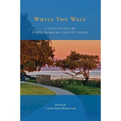 While You Wait - by  Laure-Anne Bosselaar (Paperback)