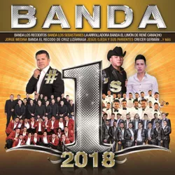 Various Artists - Banda #1's 2018 (CD)