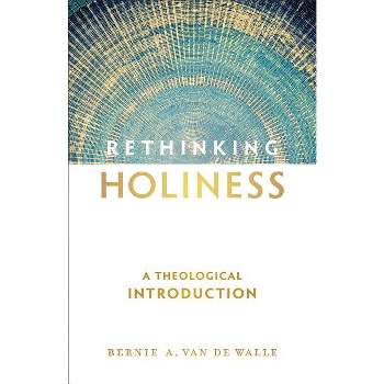 Rethinking Holiness - by  Bernie A Van de Walle (Paperback)