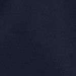 navy ditsy embroidery