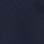 navy ditsy embroidery