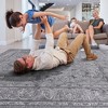 Kumasinova Stain-Resistant Area Rug, Non-Shedding Gray Door Mat,Kid & Pet-Friendly, Oriental Area Rug for Living Room, Latex-Free Cotton Backing - 2 of 4