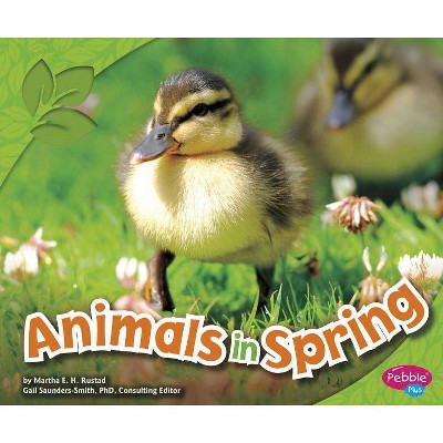 Animals in Spring - (Pebble Plus: All about Spring (Paperback)) by  Martha E H Rustad (Paperback)