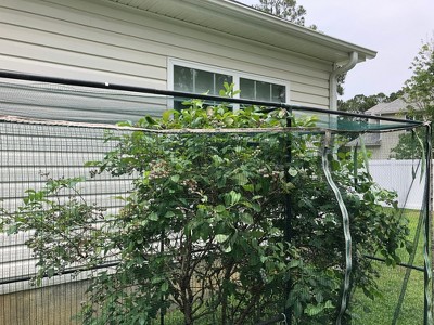 Guest review image 4 of 4, zoom in