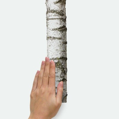 Realistic Birch Trees Peel and Stick Vinyl Wall Decal Set