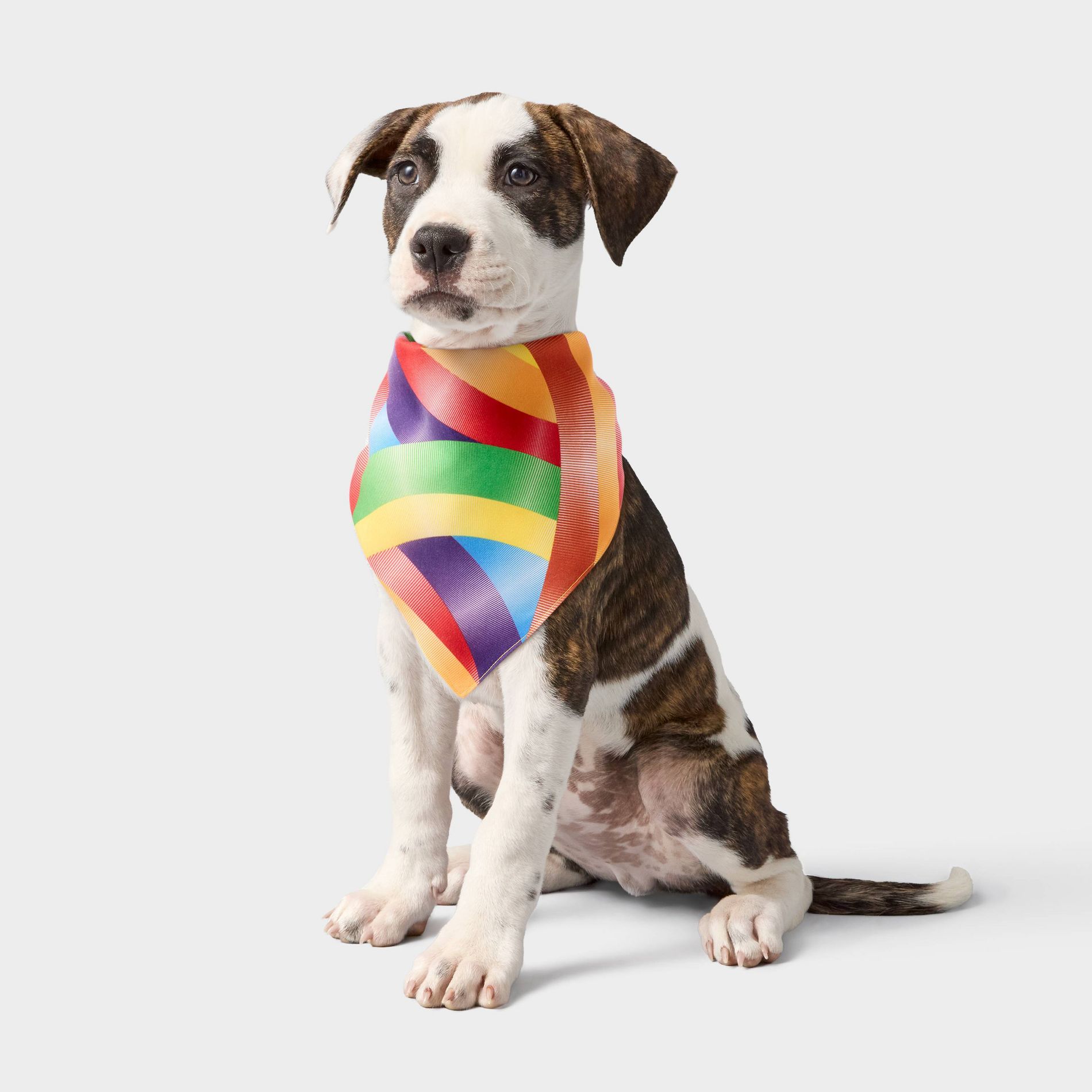 Pride Dog Pet Bandana - One Size Fits Most