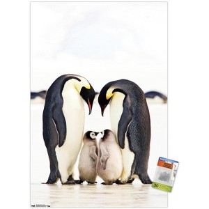 Trends International A Group Of Emperor Penguins Unframed Wall Poster Prints - 1 of 4