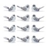 Feathered Bird Shelf Sitter (Set of 12) - 2 of 4