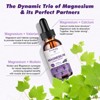 Greenpeople Magnesium Glycinate Liquid Drops 1000mg with D3 K2 & B6, for Sleep, Energy & Bone, Sugar-Free, 2fl.oz(Grape Flavor) - 4 of 4