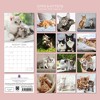2026 Square Wall Calendar, Cavalier King Charles Spaniels, 16-Month Animals Theme with 180 Reminder Stickers (12x12 In) - 4 of 4