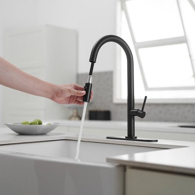 Matte Black Brass High Arc Single Handle Kitchen Faucet