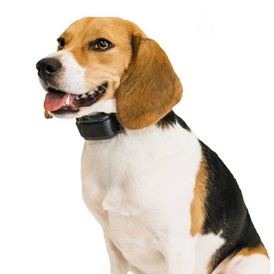 Premier Pet Bark Collar - Black