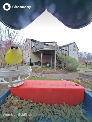 Guest review image 2 of 5, zoom in