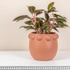 Storied Home Terra-cotta Planter with Raised Dots - 2 of 4