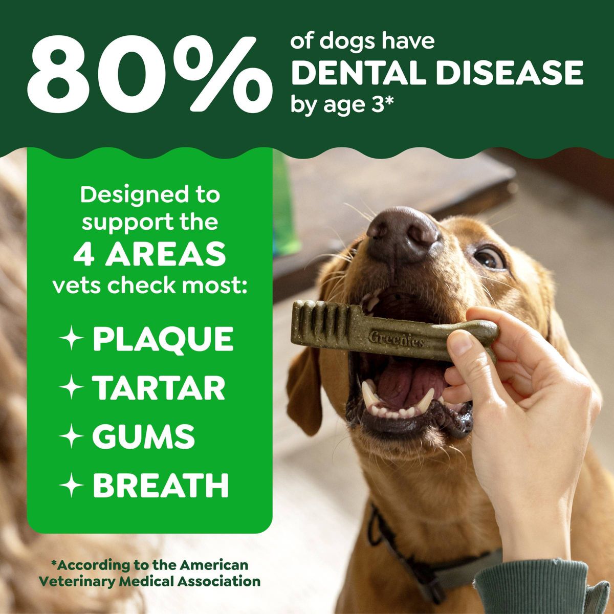 Greenies Large Chicken Flavor Chewy, Dental Hard Chews Dog Treats - thumbnail 4