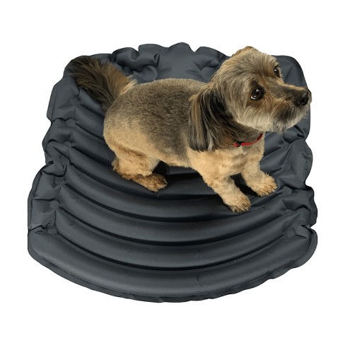 Dog on outlet air mattress