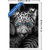 Trends International Reinders: Animals - Blue Eyed Leopard Framed Wall Poster Prints - 3 of 4