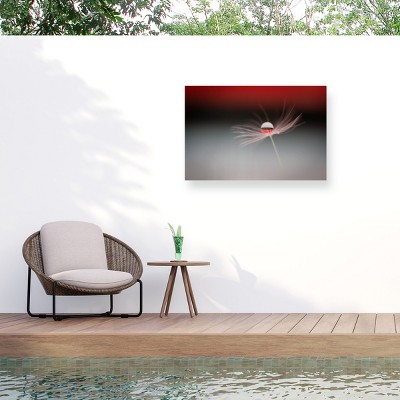 Trademark Fine Art - Maryam Zahirimehr Half A World Matted Framed Art