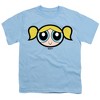 Boys' Short Sleeve the Powerpuff Girls Bubbles Face T-Shirt - 2 of 4